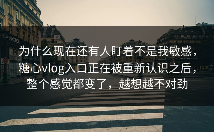 为什么现在还有人盯着不是我敏感，糖心vlog入口正在被重新认识之后，整个感觉都变了，越想越不对劲