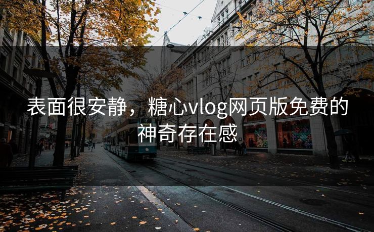 表面很安静，糖心vlog网页版免费的神奇存在感