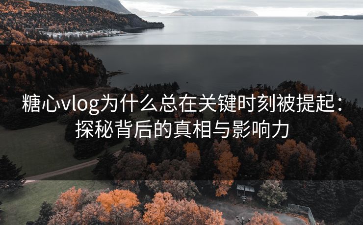糖心vlog为什么总在关键时刻被提起：探秘背后的真相与影响力