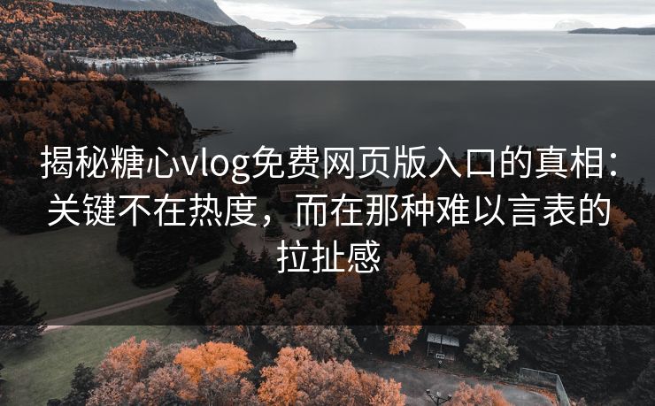 揭秘糖心vlog免费网页版入口的真相：关键不在热度，而在那种难以言表的拉扯感