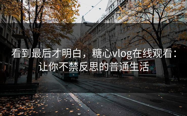 看到最后才明白，糖心vlog在线观看：让你不禁反思的普通生活