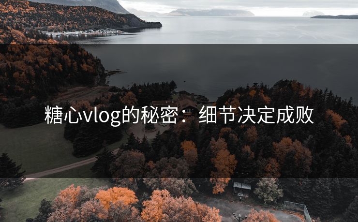 糖心vlog的秘密：细节决定成败